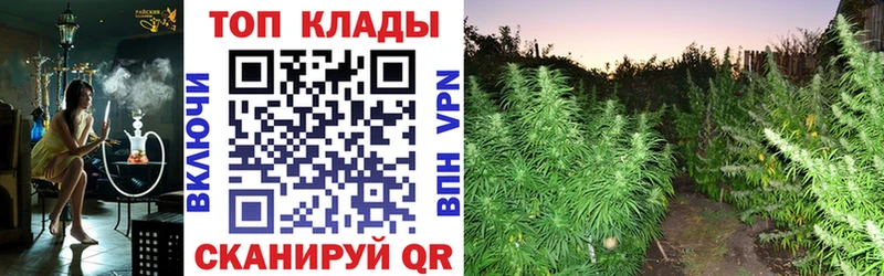 Купить закладку APVP  МЕТАДОН  ГАШИШ  Мефедрон  Конопля  COCAIN  Чишмы