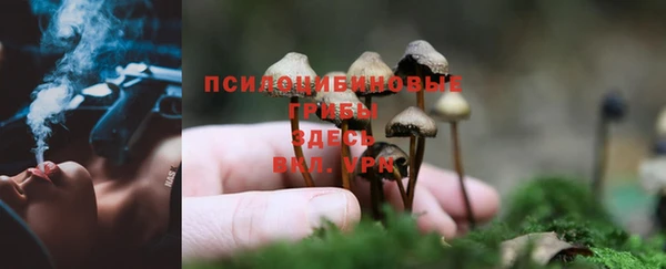 гашишное масло Каменск-Шахтинский
