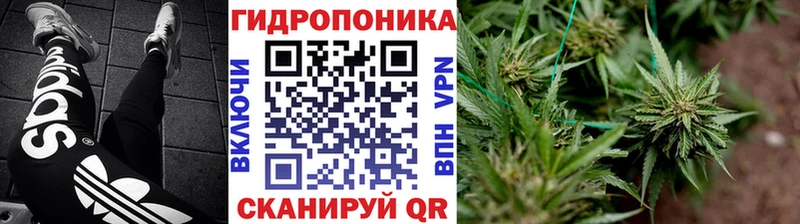 Марихуана сатива  Купить закладки  Чишмы 